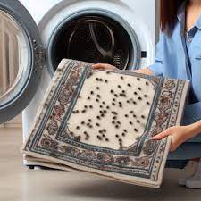 can carpet beetles survive the dryer
