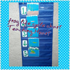 Frog Pond Life Cycle Packet Printables From Teaching Heart