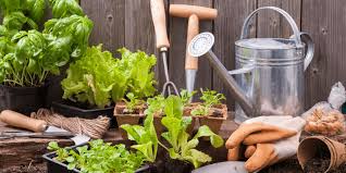 Unlock A Thriving Vegetable Garden With