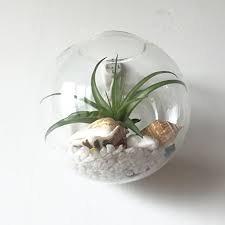 Glass Planters Wall Hanging Planters
