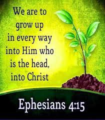 Ephesians 4:11-16 [11]And He gave some as apostles, and some as prophets,  and some as evangelists, and some as pasto… | People need the lord,  Ephesians 4, Ephesians