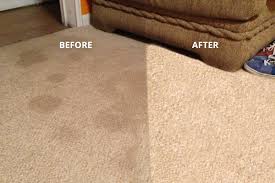 atlanta carpet cleaning good clean
