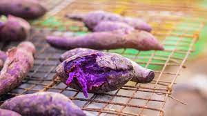 Find here all the information that you need in order to grow purple purple sweet potatoes are healthy and filling and they store very well. 7 Benefits Of Purple Yam Ube And How It Differs From Taro