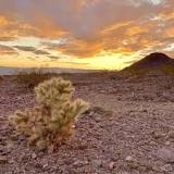 Image result for temp in death valley