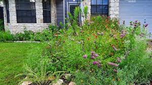 Plant List Central Texas Gardener