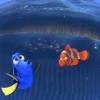 “Finding Nemo” Introduction to Film