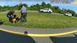 Ohio police dog attacking truck driver body cam video released |  localmemphis.com