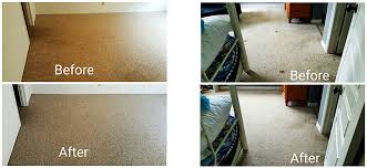 cuesta cleaning carpet cleaning in