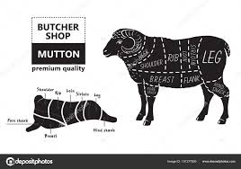 Pictures Lamb Cuts Lamb Or Mutton Cuts Diagram Butcher