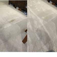 carpet cleaning in bronx ny