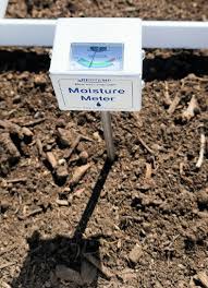 The Best Soil Moisture Meters Of 2022