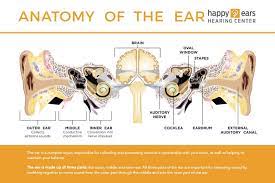 Happy Ears Hearing Center gambar png