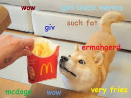 Make fat doge memes or upload your own images to. Doge Lol Funny Dog Memes Funny Doge Funny Animal Memes