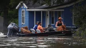 in flooded louisiana a cleanup and a