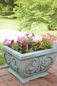 Transforming Old Concrete Planters And