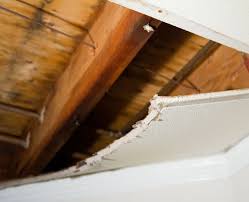 Sagging Ceiling Repair Southern