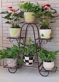 Home Decor Ideas For Beautiful Plants