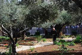 garden of gethsemane history and