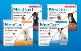 Afoxolaner enters the blood stream and does not penetrate to the surrounding tissues so fleas and ticks do need to. New Product Nexgard Winslow Animal Hospital Your Animal Hospital In Sicklerville New Jersey