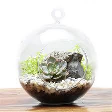 Terrarium Container Design Work