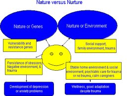 Nature vs Nurture Essay Outline Marked by Teachers