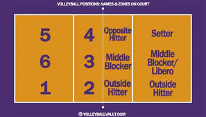 volleyball positions 101 player roles