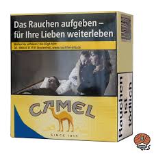 The brand was first introduced in the u.s. Camel Yellow Filter 6xl Zigaretten 53 Stuck