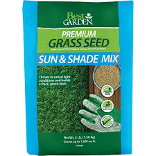 Shade Grass Seed