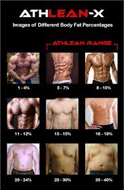 Body Fat Percentage How To Quickly Identify Your Body Fat