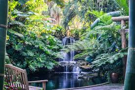 15 beautiful florida gardens best