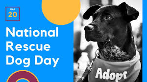 The national dog day is celebrated on the 26th of august every year. May 20 National Rescue Dog Day Pet Awareness Days
