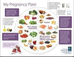 Total Pregnancy Diet Chart For Pregnant Women Steemit