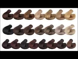 Know About Medium Ash Brown Hair Color Chart Youtube