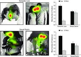 eye tracking results from study 1 the