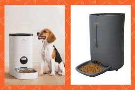 the 5 best automatic pet feeders of