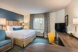 top pet friendly hotels in anaheim and