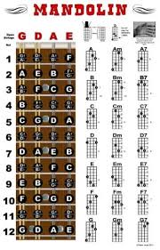 Mandolin Chord Fretboard Instructional Wall Chart Poster Notes Beginner Chords