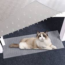 cat carpet protector doorway