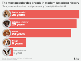 Americas Top Dog How The Most Popular Breeds Have Changed
