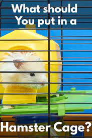 what should you put in a hamster s cage