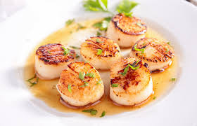 scallop nutrition facts benefits