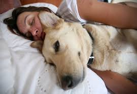 Sleeping Soundly With A Dog In The Bed