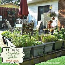 vegetable garden on a deck tips for