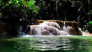 jamaica turtle river falls waterfalls