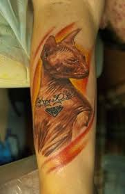 Фото, значение в магии татуировки " Кот. Кошка. Котенок. " - Страница 3 Images?q=tbn:ANd9GcTFPQO8LbcgXhSaMzA_fb7Z4jbYCRI6VbHBxxbytN8Zv0kB9yg8