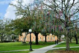 Image result for tulane university