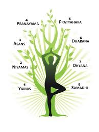 the eight traditional limbs of yoga