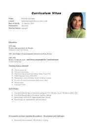 Create My Resume In English Template Mysetlist Co