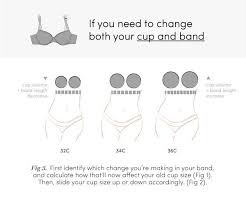 Sister Sizes The Bra Secret Every Woman Should Know