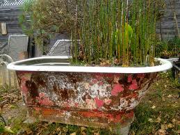Old Bathtub Water Garden The